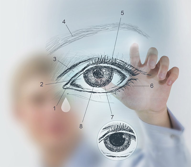 7 mituri despre ochi, demontate