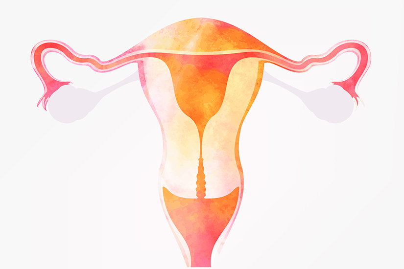 Reconstructia ecografica a cavitatii uterine – metoda de finete pentru identificarea cauzelor infertilitatii feminine
