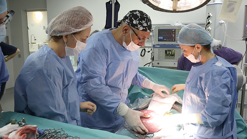 Chirurgia fetala deschisa - singura sansa la viata in cazul unui copil diagnosticat inainte de a se naste cu o malformatie pulmonara severa