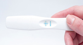 Fertilitate