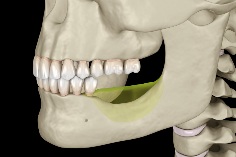 mandibula