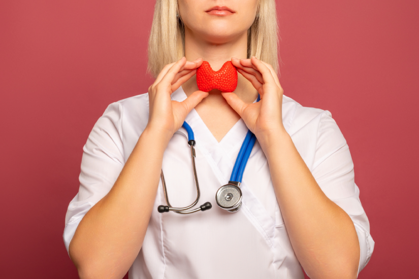 model anatomic tiroida