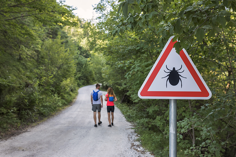 preventie boala lyme