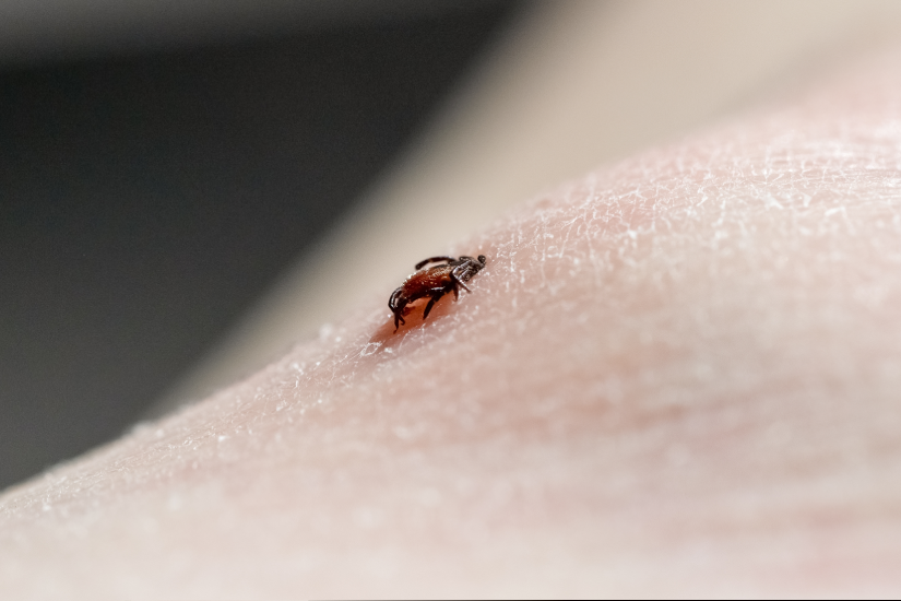 capusa fixata in piele