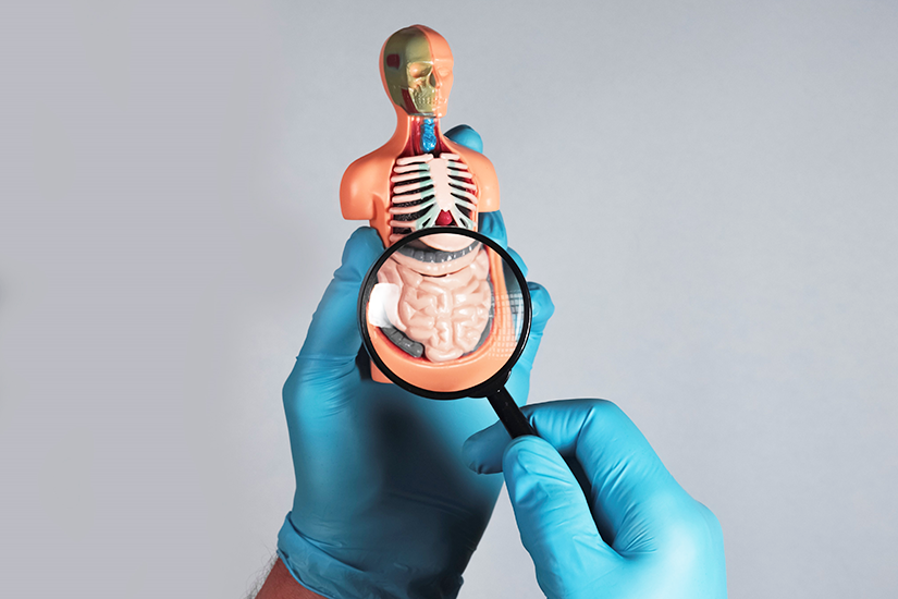 Inflamația tractului gastrointestinal