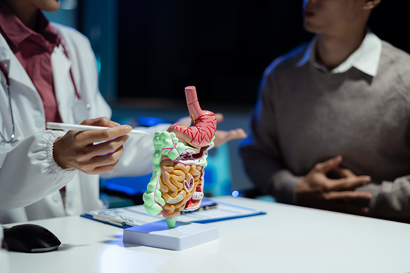 Medic explicând diferențele anatomice intestinale