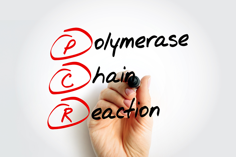 Polymerase Chain Reaction