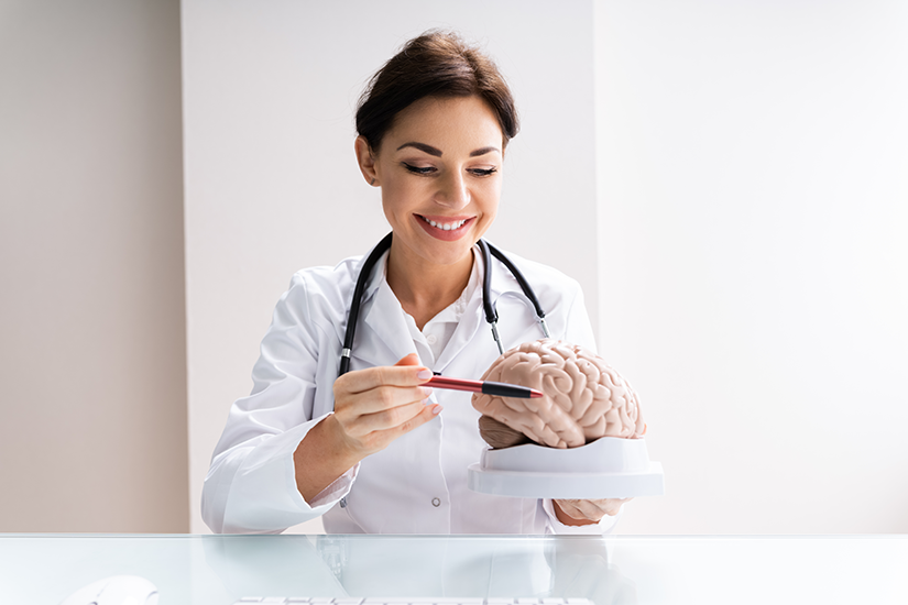 Neurochirurg care explică structura creierului
