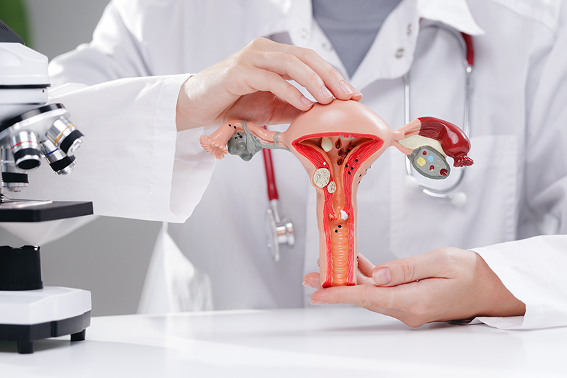 Medic ginecolog explicând pacientei afecțiunile uterine
