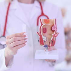 Medic prezentând un model anatomic al rectului și regiunii ano-rectale