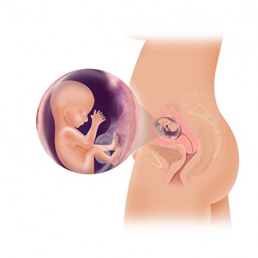 Durerile de burta in trimestrul 2 de sarcina