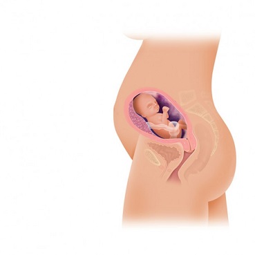 Varice ce sa folosesti sarcina pi - Cauzele apariţiei varicelor pe perioada sarcinii