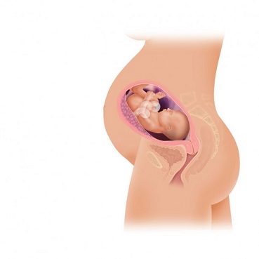Totul despre trimestrul 3 de sarcină | Arcadia Spitale si Centre Medicale