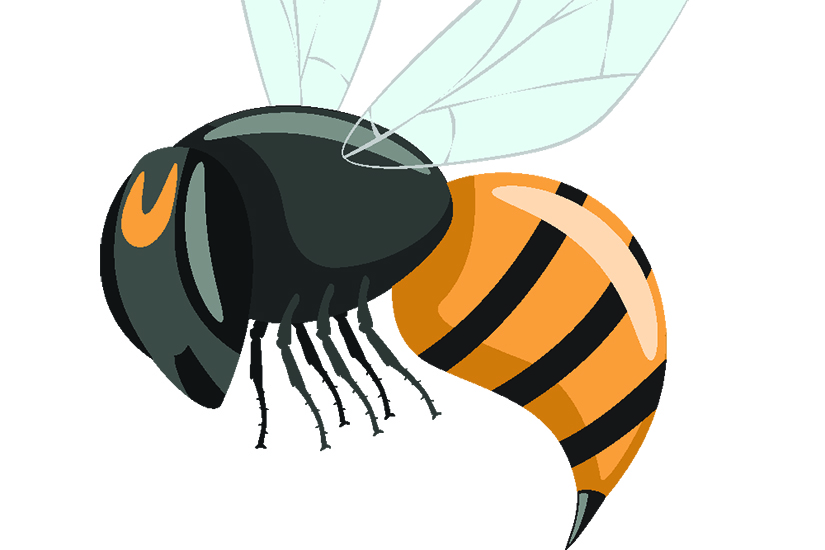 Alergia la veninul de albina si viespe