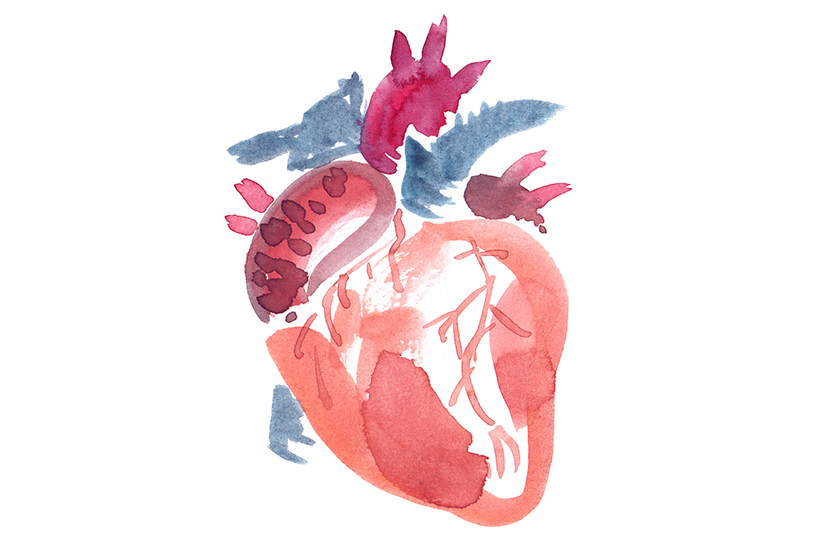 Ecografia cardiaca pentru diagnosticul bolilor cardiace congenitale