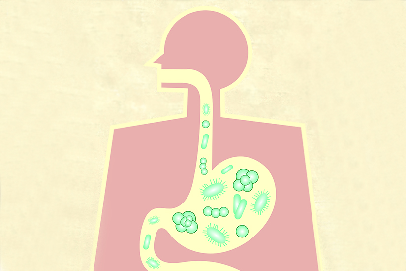 Prebioticele, probioticele si antibioticele: ce rol au in modularea florei intestinale
