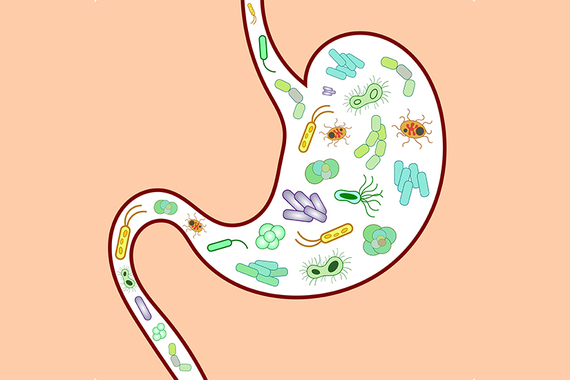 La ce sunt bune probioticele?