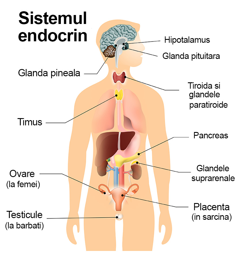 afectarea articulațiilor în bolile endocrine)