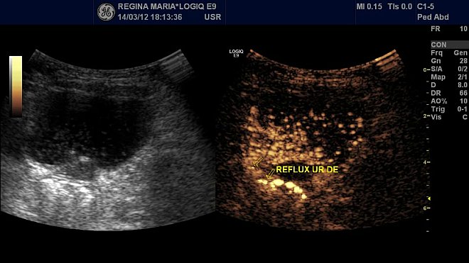 Urologie *