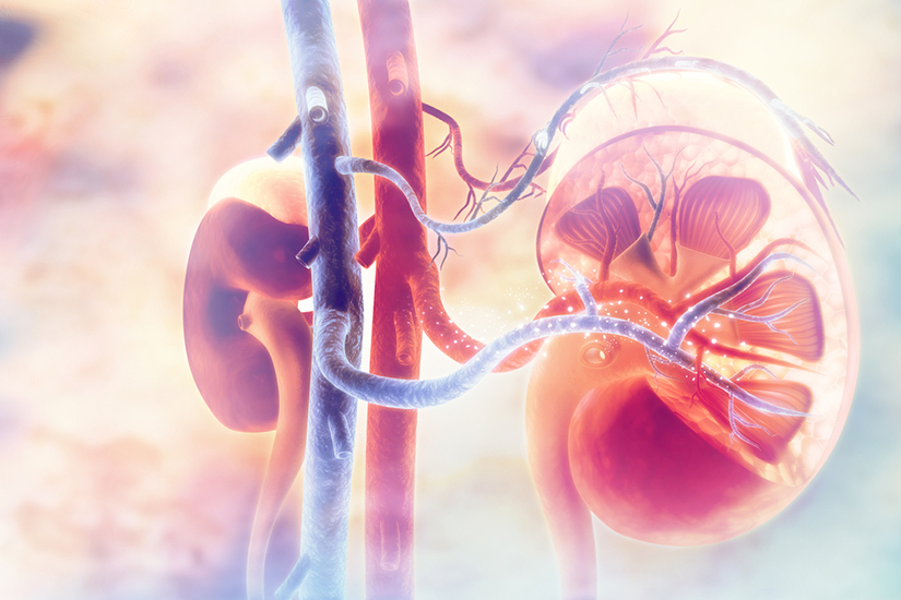 durere rinichi cauze spirituale sânge în urină cu prostatita la bărbați
