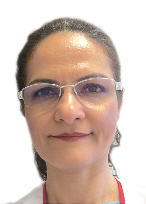 Dr. Leila Kouchaki