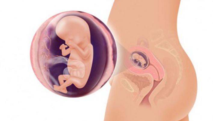 subțire în jos în timpul sarcinii