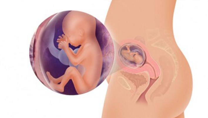 Tensiunea arteriala ridicata in timpul sarcinii si preeclamsia | ghood.ro