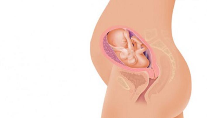 Sec iunea de cautare a femeilor gravide