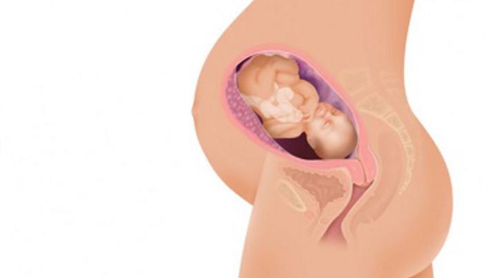 Malformatiile congenitale si cum le putem depista | complexlaguna.ro