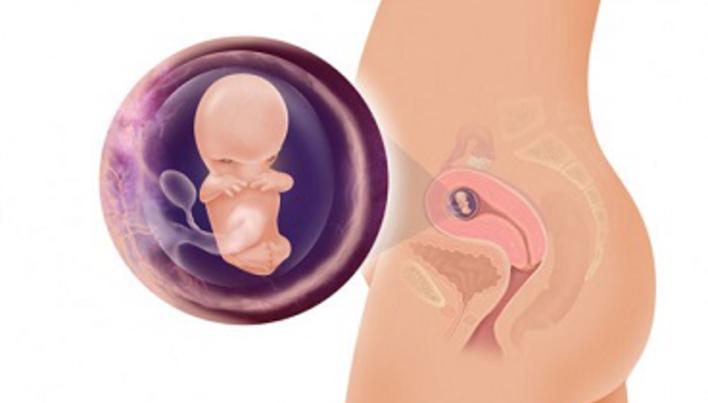 Trombofilia in sarcina: 10 intrebari frecvente | rock89.ro