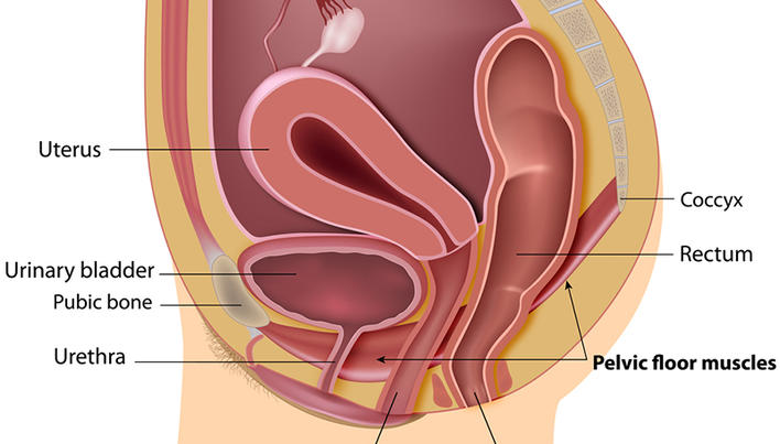 poate pierderea în greutate cauza prolaps uterin)