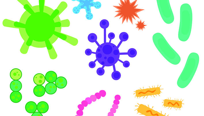 Răspuns imun înnăscut la paraziți. Imunitatea innascuta (nespecifica) | Sistemul imunitar