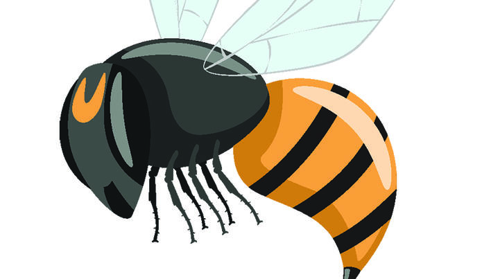 tratamentul înțepăturii de albine a genunchiului urmăriți artroza articulației șoldului