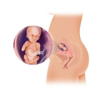 6 activități care te scapă de grăsimea de pe abdomen după naștere - Clubul Bebelusilor