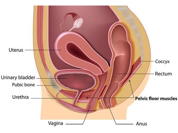 Motivele extinderii pelvisului renal la făt și metodele de tratament - Prostatita