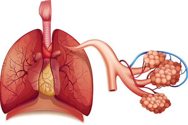 Afectarea pulmonară în cadrul bolilor de sistem